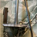 Kukaj * 발보너